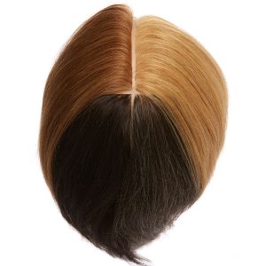 Pivot Point Hair Mannequin Colour Quadrant