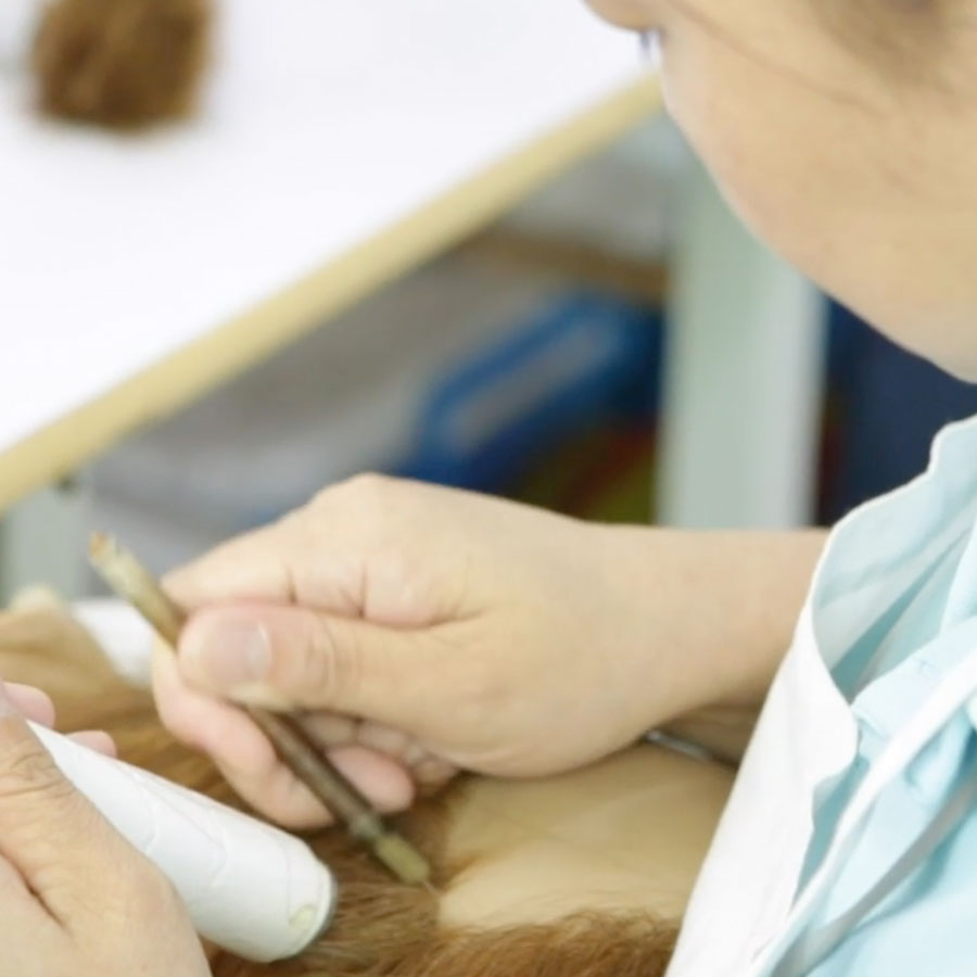 Mannequin Implantation