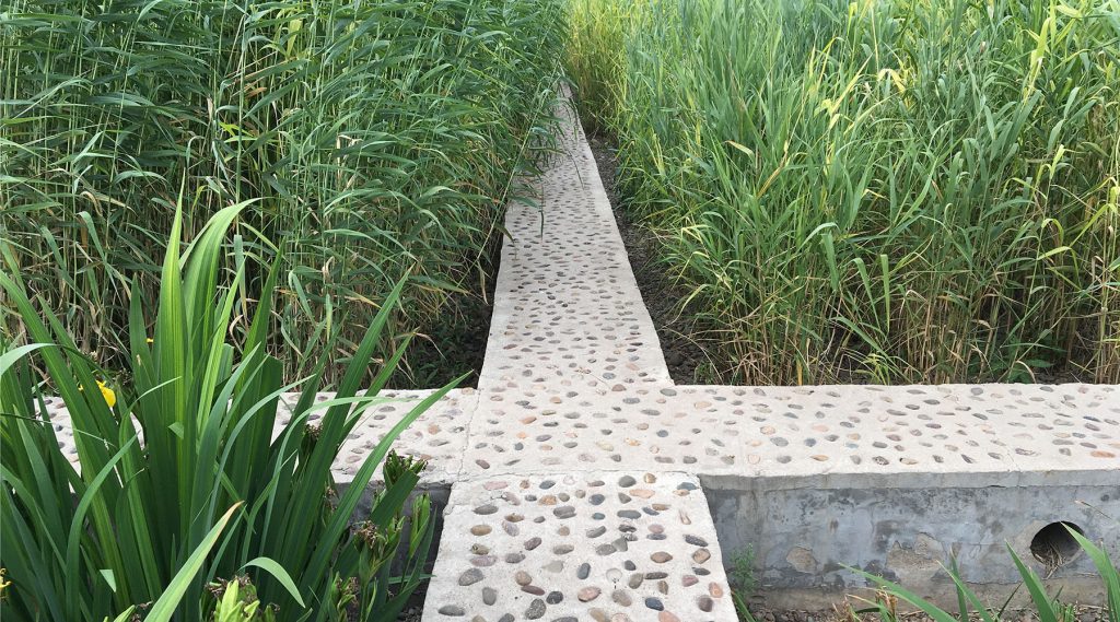 LEADING THE WAY TO SUSTAINABILITY