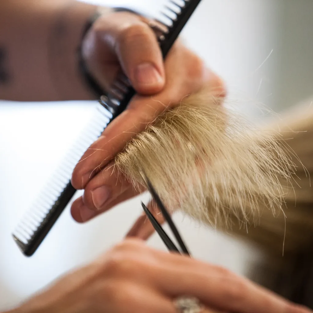 Consistent and Realistic Pivot Point Hair Mannequins