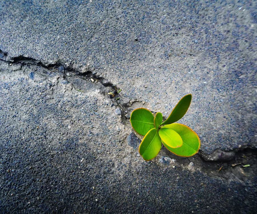 Resilience