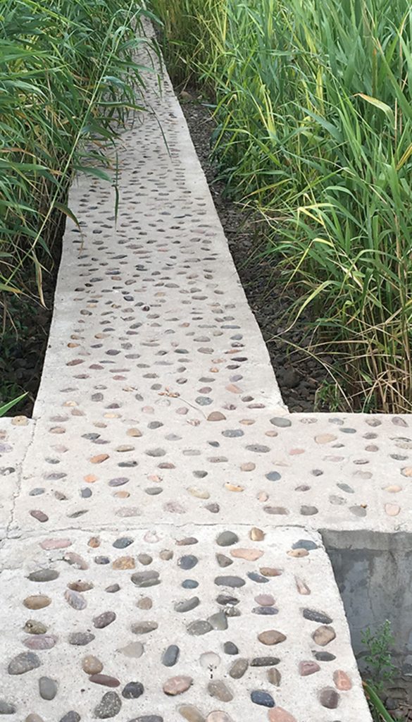 LEADING THE WAY TO SUSTAINABILITY