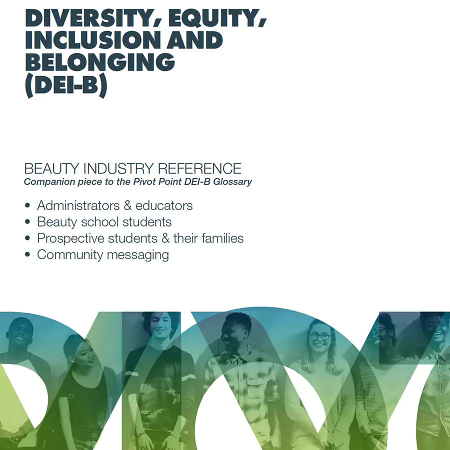 DEI-B Industry Reference